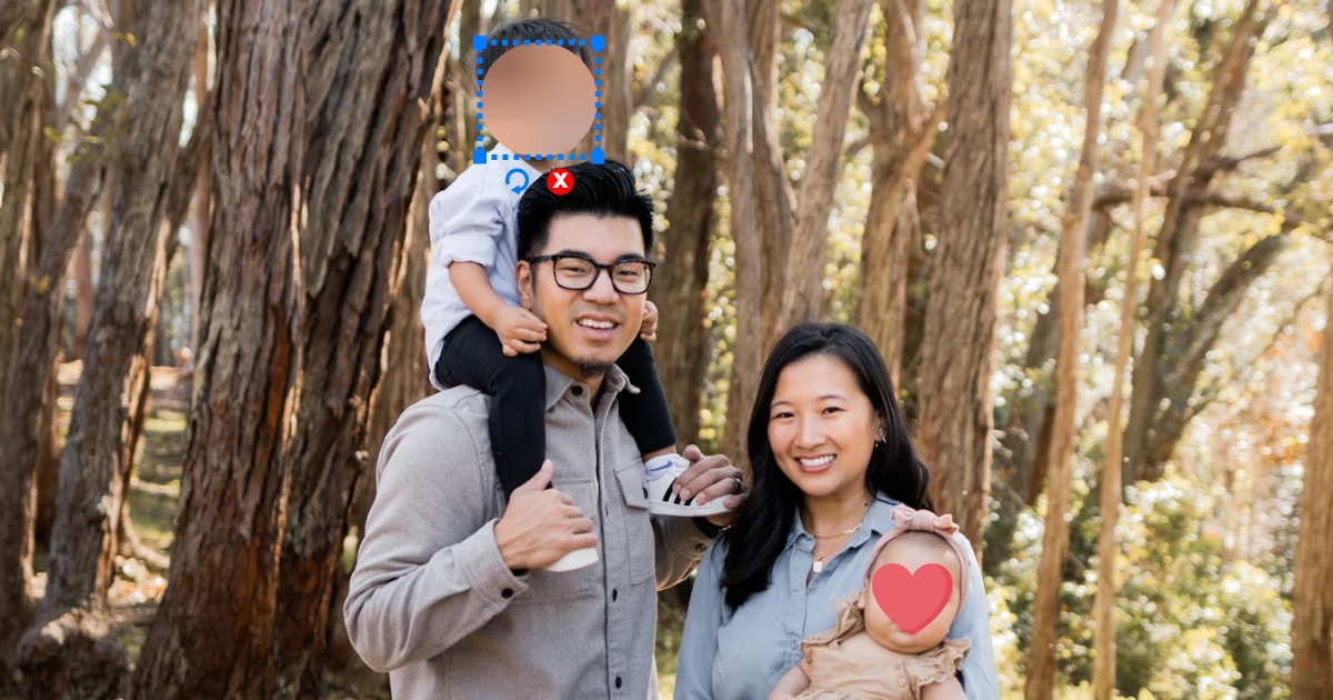 detect face and blur face control handle screenshot